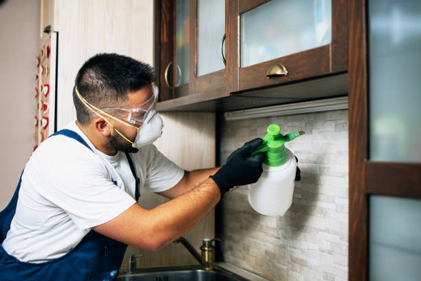 Best Affordable Pest Control Services  in Waunakee, WI