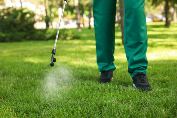 Best Wasp Removal Services  in Waunakee, WI