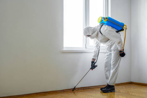 Best Flea Control Services  in Waunakee, WI