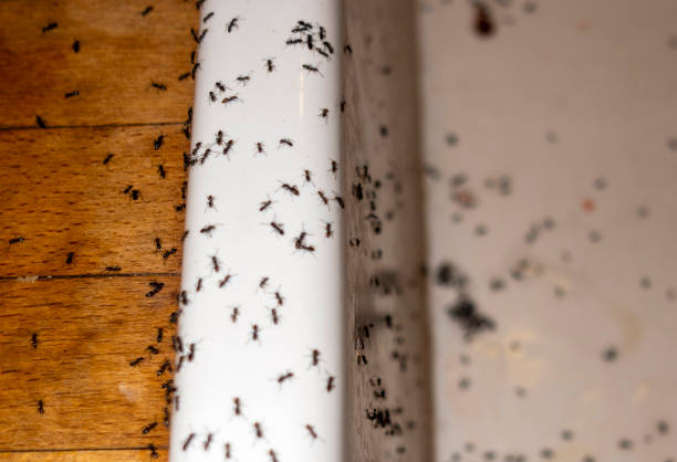 Best Pest Control for Restaurants  in Waunakee, WI