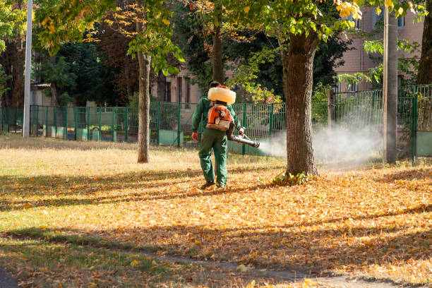 Best Bird Control  in Waunakee, WI